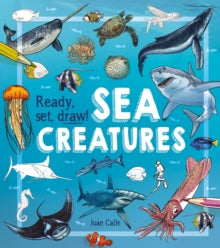 Ready, Set, Draw! Sea Creatures - Juan Calle (Artist); William Potter  (Paperback) 15-08-2018 