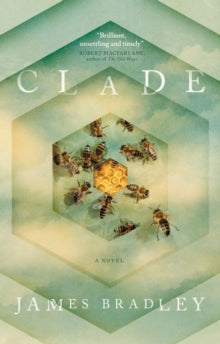 Clade - James Bradley (Paperback) 05-09-2017 
