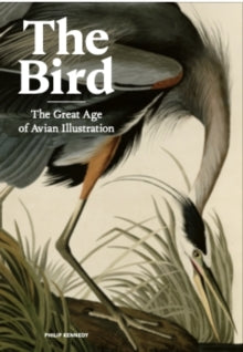 The Bird: The Great Age of Avian Illustration - Philip Kennedy (Hardback) 16-12-2021 
