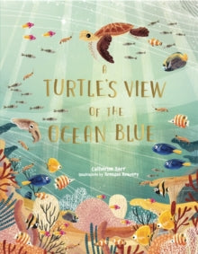 A Turtle's View of the Ocean Blue - Catherine Barr; Brendan Kearney (Hardback) 15-04-2021 