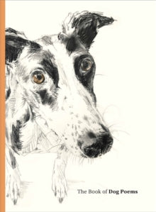 The Book of Dog Poems - Ana Sampson; Sarah Maycock (Hardback) 02-09-2021 