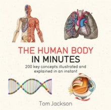 In Minutes  The Human Body in Minutes - Tom Jackson (Paperback) 04-05-2017 
