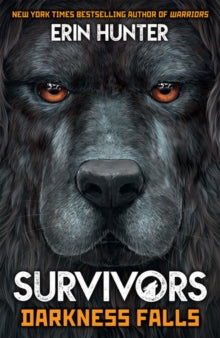 Survivors 3 Survivors Book 3: Darkness Falls - Erin Hunter (Paperback) 01-02-2019 