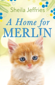 A Home for Merlin - Sheila Jeffries (Paperback) 03-03-2022 