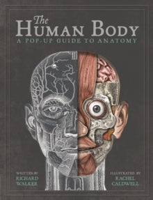 The Human Body: A Pop-Up Guide to Anatomy - Rachel Caldwell; Richard Walker (Hardback) 29-11-2018 