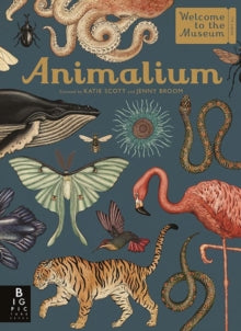 Welcome To The Museum  Animalium - Jenny Broom; Katie Scott (Hardback) 19-10-2017 