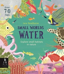Small Worlds: Water - Lara Hawthorne (Board book) 01-10-2020 