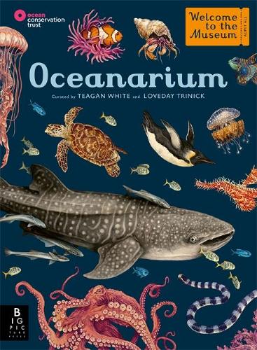 Oceanarium - Teagan White; Loveday Trinick (Hardback) 14-10-2021 