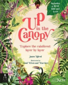 Up in the Canopy: Explore the Rainforest, Layer by Layer - James Aldred; Good Wives and Warriors (Hardback) 20-07-2023 