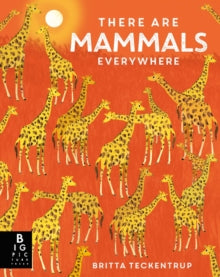 There are Mammals Everywhere - Camilla De La Bedoyere; Britta Teckentrup (Hardback) 24-11-2022 