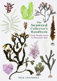 The Seaweed Collector's Handbook: From Purple Laver to Peacock's Tail - Miek Zwamborn; Michele Hutchison (Paperback) 03-06-2021 
