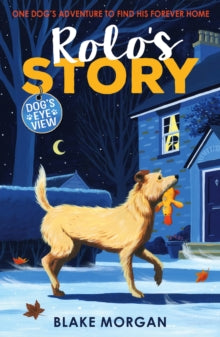 Dog's Eye View  Rolo's Story - Blake Morgan (Paperback) 04-02-2021 