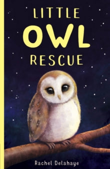 Little Animal Rescue 5 Little Owl Rescue - Rachel Delahaye (Paperback) 14-05-2020 