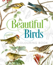 Beautiful Birds Colouring Book - John James Audubon; Peter Gray (Paperback) 15-03-2019 