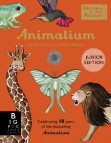 Welcome To The Museum  Animalium (Junior Edition) - Katie Scott; Jenny Broom (Hardback) 08-06-2023 
