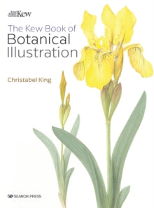 The Kew Book of Botanical Illustration (paperback edition) - Christabel King (Paperback) 15-07-2022 