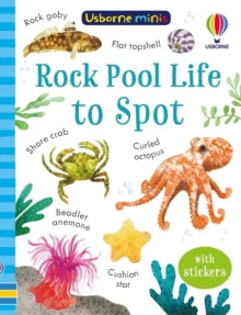 Usborne Minis  Rock Pool Life to Spot - Stephanie Fizer Coleman; Simon Tudhope; David Kurtz Williams (Paperback) 25-05-2023 