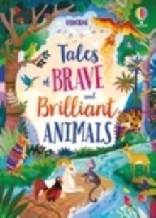 Illustrated Story Collections  Tales of Brave and Brilliant Animals - Susanna Davidson; Mairi Mackinnon; Sara Ugolotti; Lan Cook (Hardback) 03-08-2023 