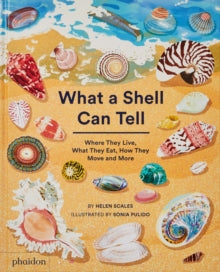 What A Shell Can Tell - Helen Scales; Sonia Pulido (Hardback) 19-05-2022 