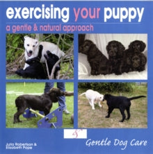 Exercising Your Puppy - Julia Robertson; Elisabeth Pope (Paperback) 21-07-2011 