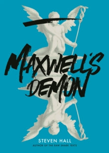 Maxwell's Demon - Steven Hall (Hardback) 04-02-2021 