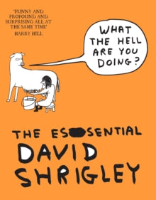 What The Hell Are You Doing?: The Essential David Shrigley - David Shrigley; Will Self (Paperback) 16-02-2012 
