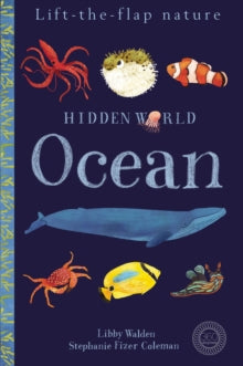 Hidden World: Ocean - Stephanie Fizer Coleman; Libby Walden (Novelty book) 11-01-2018 