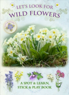 Let's Look for Wild Flowers - Caz Buckingham; Andrea Pinnington (Paperback) 01-05-2013 
