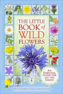 The Little Book of Wild Flowers - Caz Buckingham; Andrea Pinnington (Paperback) 29-03-2021 