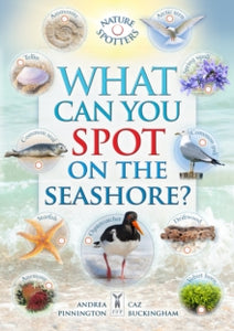 What Can You Spot on the Seashore? - Caz Buckingham; Ben Hoare; Andrea Pinnington (Paperback) 01-06-2023 
