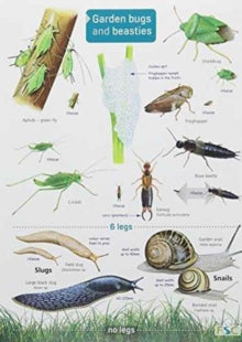 Garden Bugs and Beasties - Rebecca Farley-Brown; Chris Shields (Fold-out book or chart) 07-09-2023 