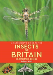 Naturalist's Guide  A Naturalist's Guide to the Insects of Britain and Northern Europe (2nd edition) - Robert Read (Paperback) 25-04-2019 
