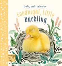 Baby Animal Tales  Goodnight, Little Duckling: A book about listening - Amanda Wood; Bec Winnel; Vikki Chu (Board book) 27-05-2021 