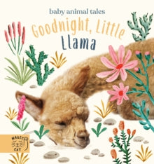 Baby Animal Tales  Goodnight, Little Llama: A book about being a good friend - Amanda Wood; Bec Winnel; Vicki Chu (Hardback) 03-02-2022 
