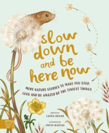 Slow Down and Be Here Now: More Nature Stories to Make You Stop, Look and Be Amazed by the Tiniest Things - Laura Brand; Freya Hartas (Hardback) 29-09-2022 