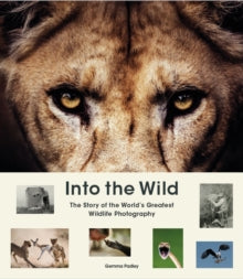 Into the Wild: The Story of the World's Greatest Wildlife Photography - Gemma Padley (Hardback) 16-09-2021 