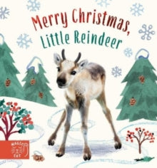 Baby Animal Tales  Merry Christmas, Little Reindeer - Amanda Wood; Bec Winnel; Vikki Chu (Board book) 26-10-2023 