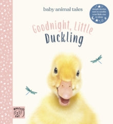 Baby Animal Tales  Goodnight, Little Duckling: Simple stories sure to soothe your little one to sleep - Amanda Wood; Bec Winnel; Vikki Chu (Hardback) 05-03-2020 