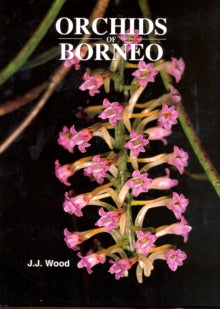 Orchids of Borneo  Orchids of Borneo Volume 4 - J. J. Wood (Hardback) 01-01-2004 