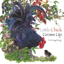 Little Chick Grows Up - Yu Hongcheng (Hardback) 07-02-2022 