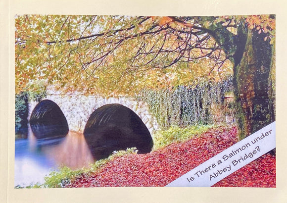 Is There a Salmon Under Abbey Bridge? - Alan Bilton (Paperback) 18-04-2023