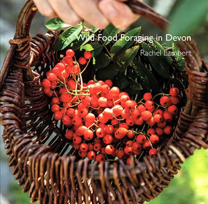 Pocket Devon  Wild Food Foraging in Devon - Rachel Lambert; Tor Mark; Tor Mark (Paperback) 13-09-2023 