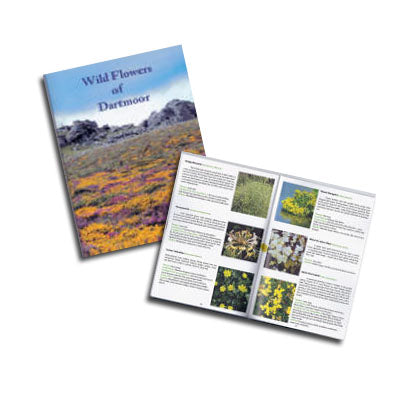 Wild Flowers of Dartmoor - Trevor Beer; Endymion Beer (Paperback) 15-10-2013 